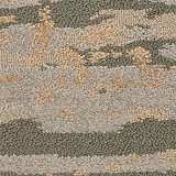 Masland CarpetsCosmo